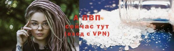 соль ск Бородино