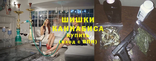 соль ск Бородино