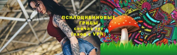 а пвп мука Бугульма